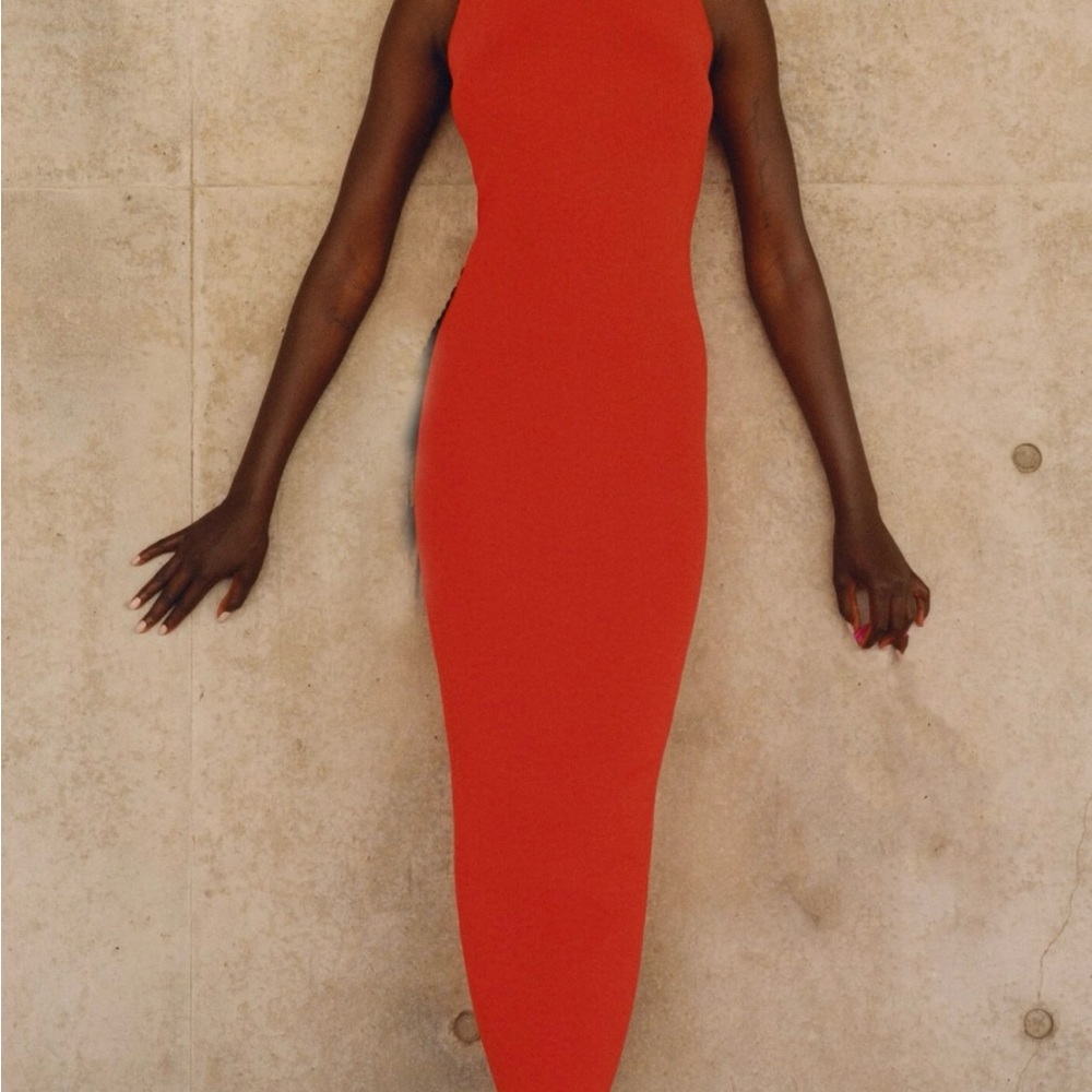 Zara blogger favorite Elegant Red Sleeveless Dress